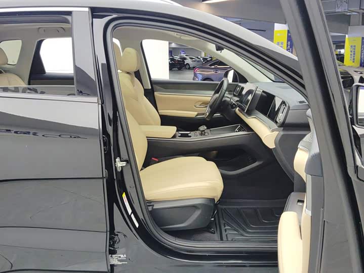 BYD Song Pro Hybrid, 2024 — фото 8 из 9