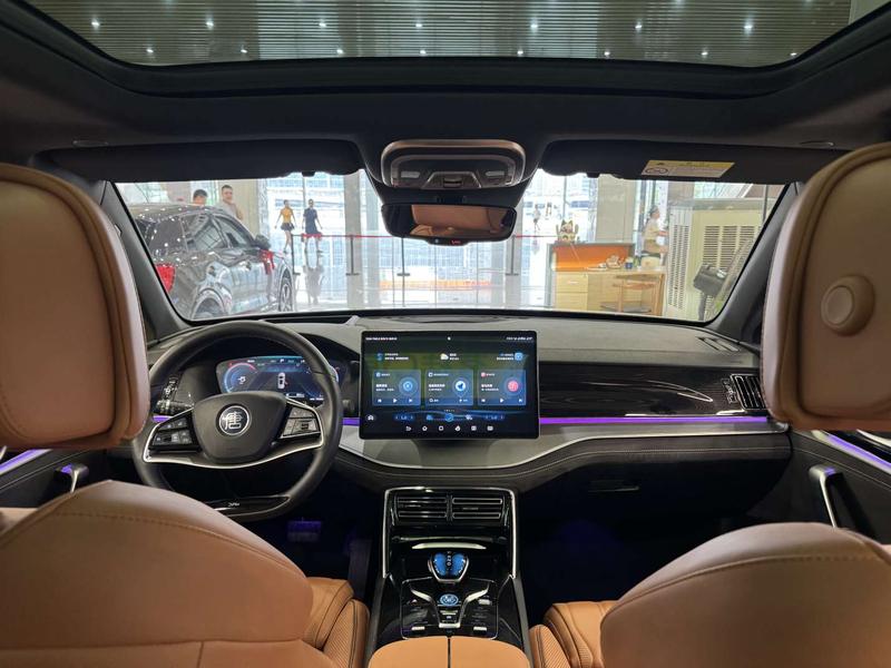 BYD Tang Hybrid/EV, 2023 — фото 8 из 12
