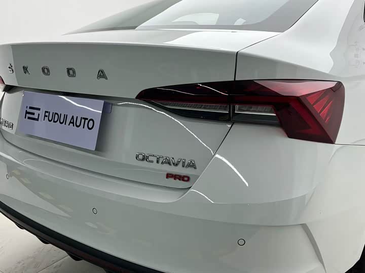 Skoda Octavia Pro, 2024 — фото 7 из 9