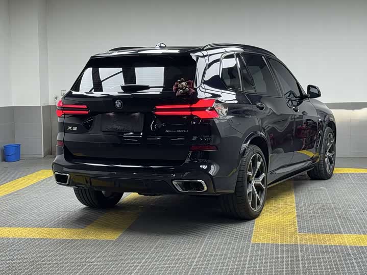 BMW X5, 2025 — фото 5 из 9