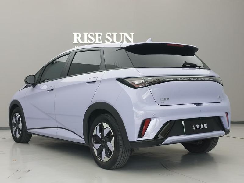 BYD Dolphin, 2024 — фото 5 из 12