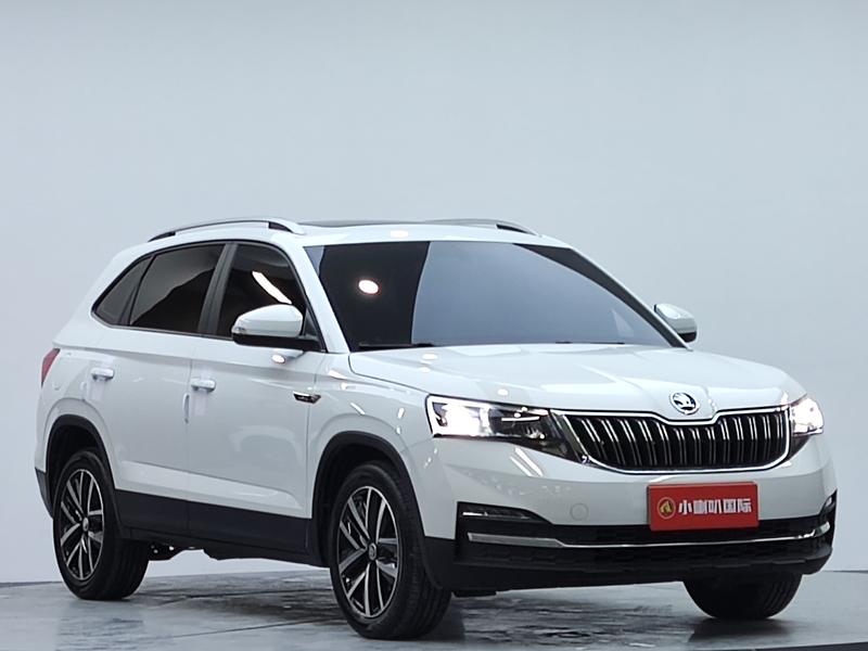 Skoda Kamiq, 2023 — фото 3 из 12