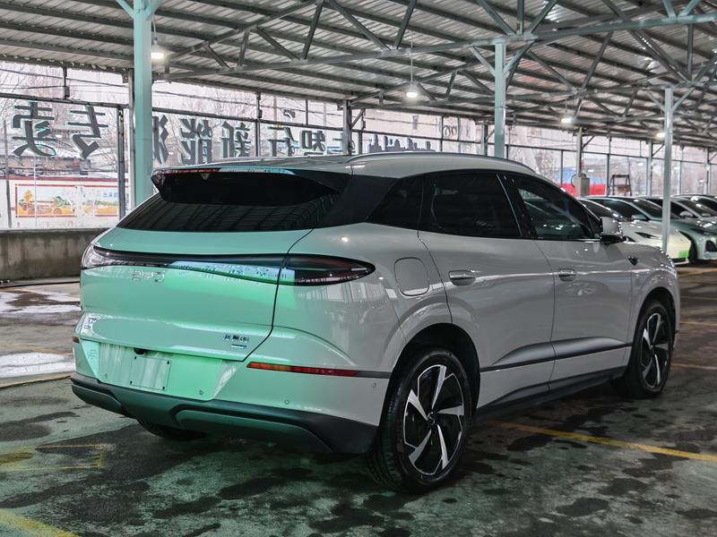 BYD Sea Lion 06 Hybrid/EV, 2025 — фото 6 из 12