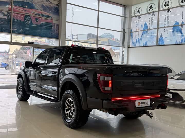 Ford F-150 Raptor, 2022 — фото 5 из 9