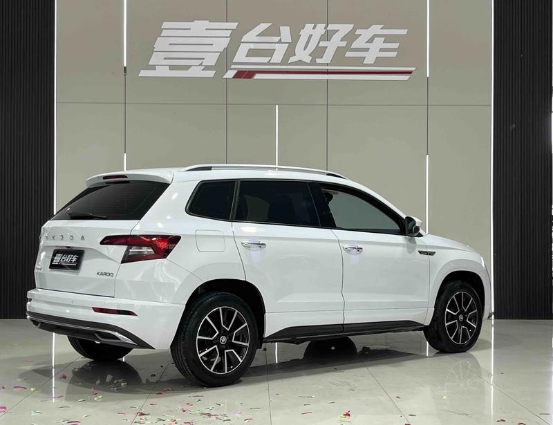 Skoda Karoq, 2023 — фото 6 из 10