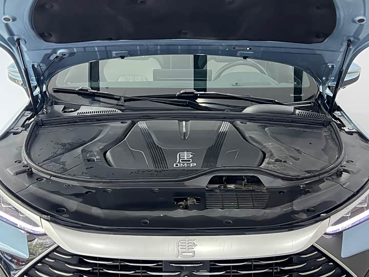 BYD Tang Hybrid/EV, 2023 — фото 4 из 9
