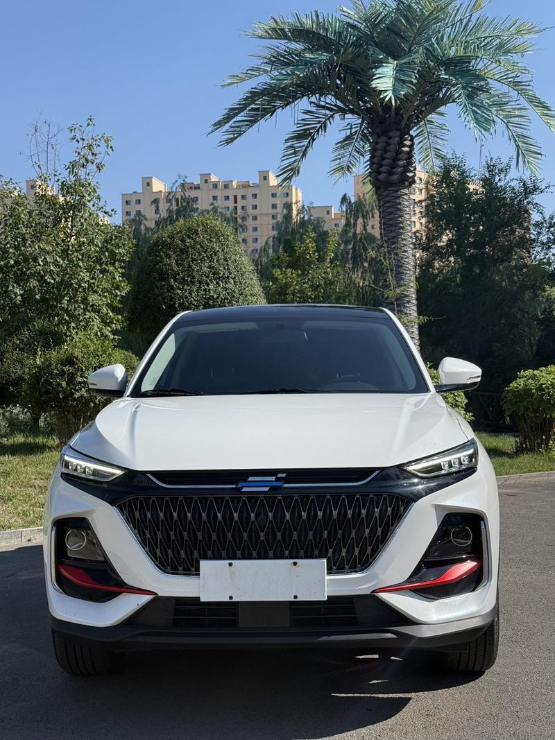 Changan Oshan X7 Plus, 2023 — фото 2 из 8