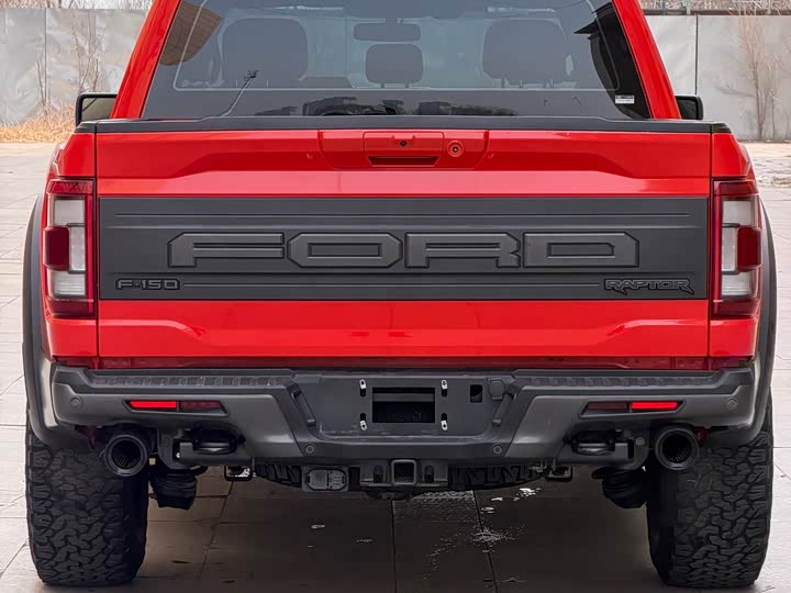 Ford F-150 Raptor, 2022 — фото 9 из 9