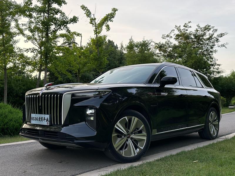 Hongqi E-HS9, 2023 — купить в Орле под ключ