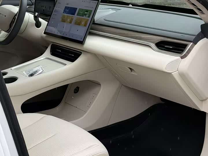Dongfeng Forthing Xinghai S7, 2024 — фото 8 из 9