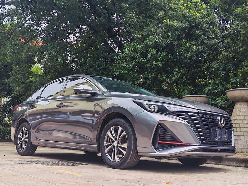 Changan Eado Plus, 2023 — фото 3 из 11