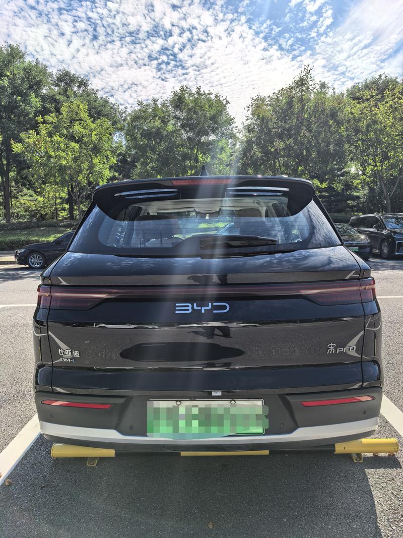 BYD Song Pro Hybrid, 2024 — фото 6 из 12