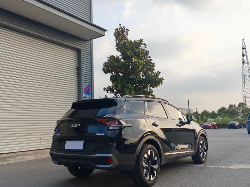 Kia Sportage, 2025 — фото 6 из 12