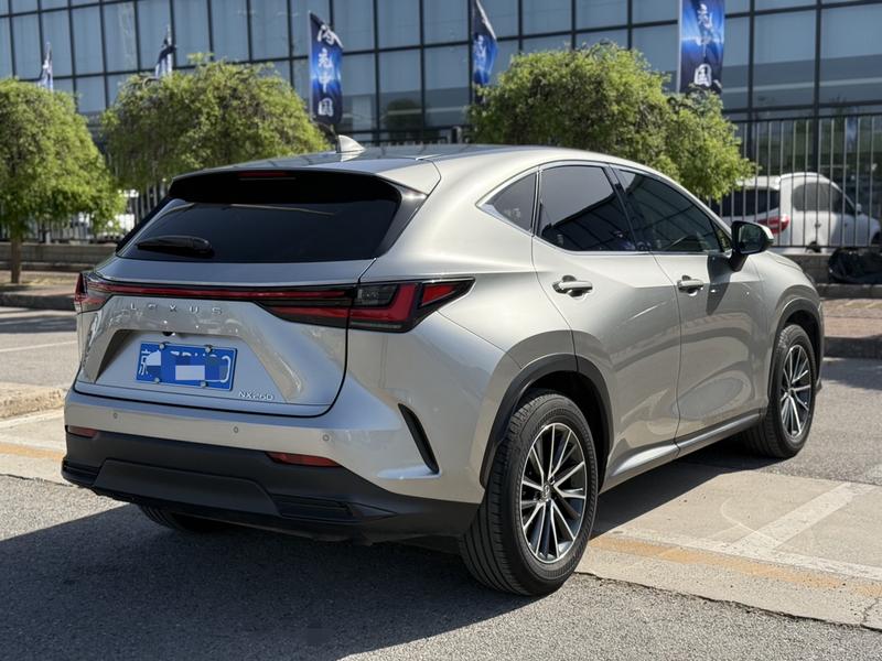 Lexus NX, 2023 — фото 6 из 10