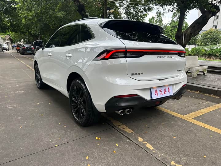 Dongfeng Forthing T5 EVO, 2022 — фото 6 из 9