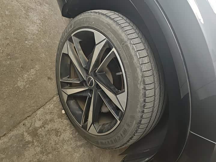 Roewe RX5 Max, 2022 — фото 6 из 9