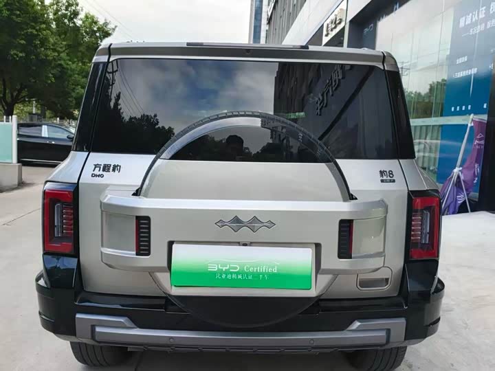 BYD FangChengBao Leopard 8, 2024 — фото 5 из 7