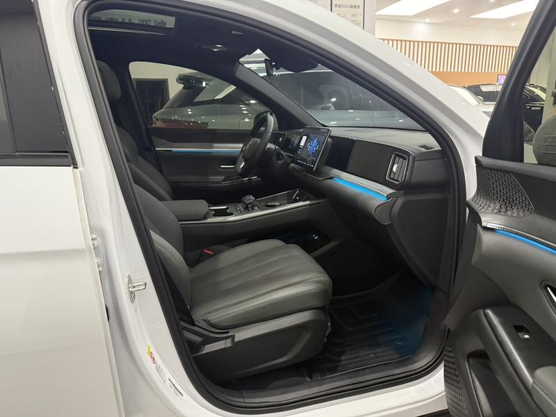 BYD Song Pro Hybrid, 2024 — фото 11 из 12