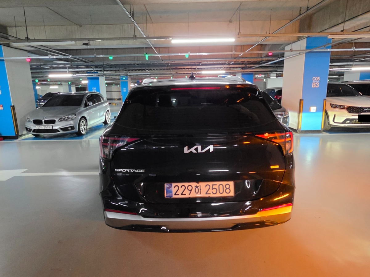 Kia Sportage, 2025 — фото 3 из 9