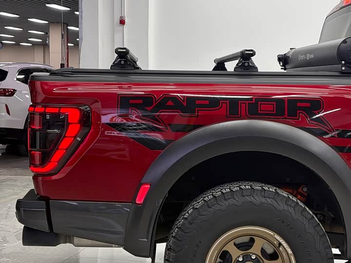 Ford F-150 Raptor, 2023 — фото 8 из 9