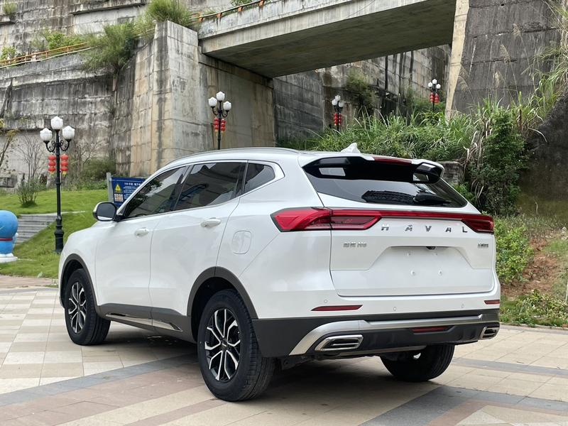 Haval H6, 2021 — фото 4 из 11