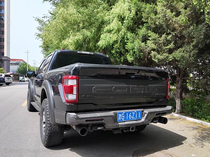 Ford F-150 Raptor, 2024 — фото 2 из 5