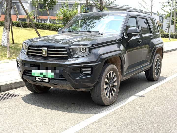 Tank 700 Hybrid, 2024 — купить в Рязани под ключ