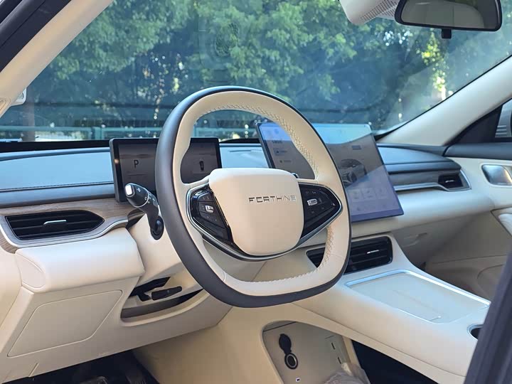 Dongfeng Forthing Xinghai S7, 2024 — фото 6 из 9