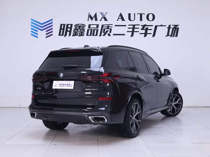 BMW X5, 2025 — фото 7 из 9