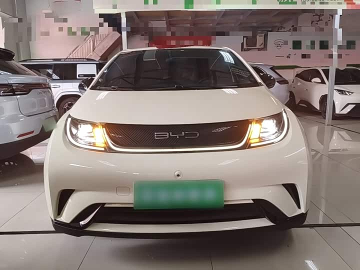 BYD Dolphin, 2023 — фото 3 из 9