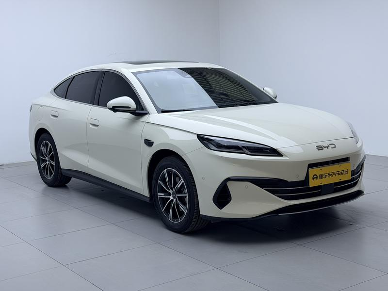 BYD Seal 06 Hybrid/EV, 2024 — фото 3 из 12
