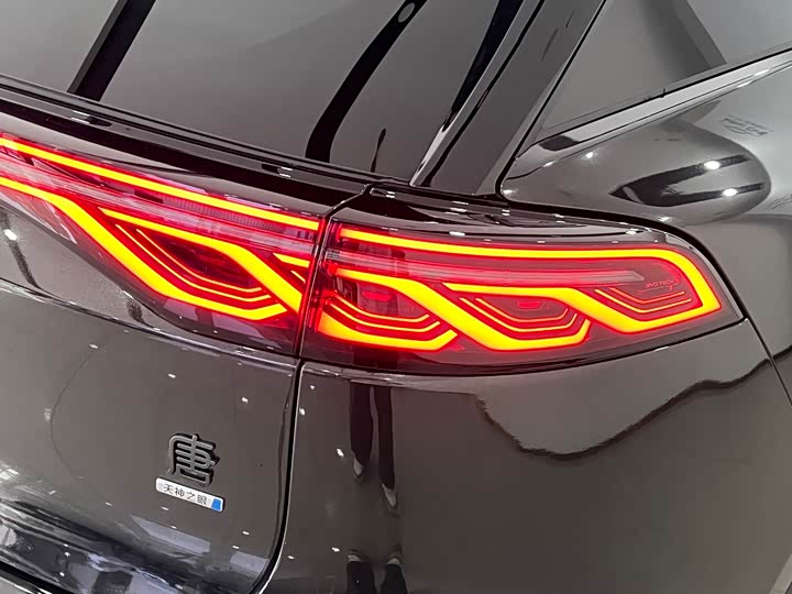 BYD Tang Hybrid/EV, 2025 — фото 6 из 9