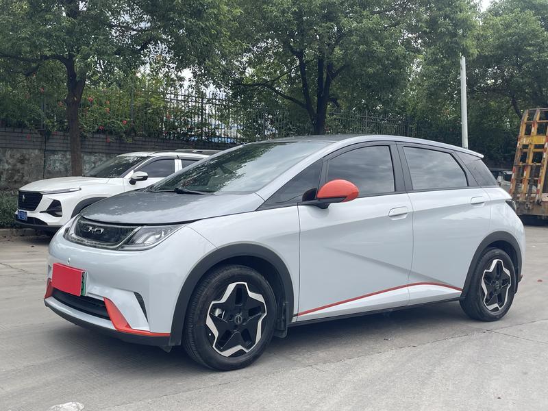 BYD Dolphin, 2021 — купить в Твери под ключ