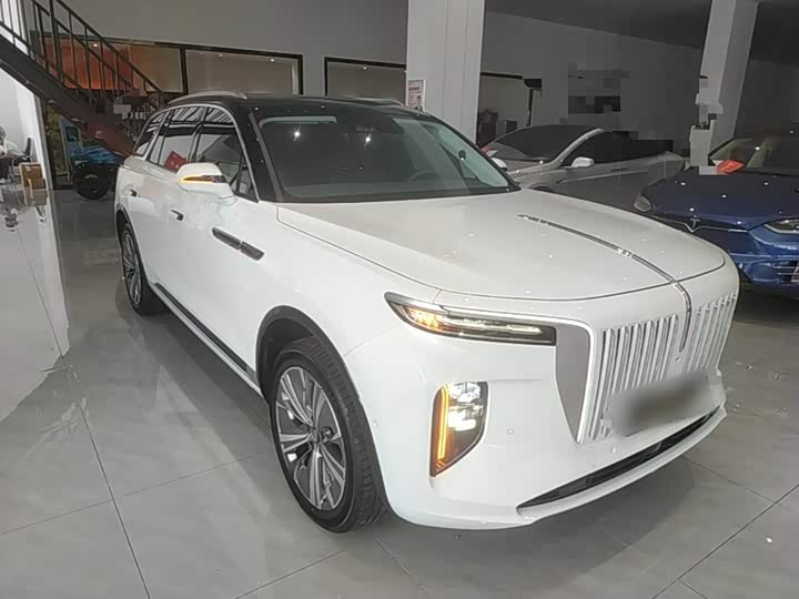 Hongqi E-HS9, 2023 — фото 4 из 9