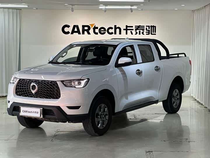Great Wall Pao, 2022 — купить в Орле под ключ