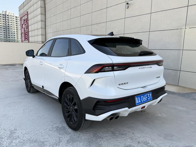 Dongfeng Forthing T5 EVO, 2023 — фото 5 из 12