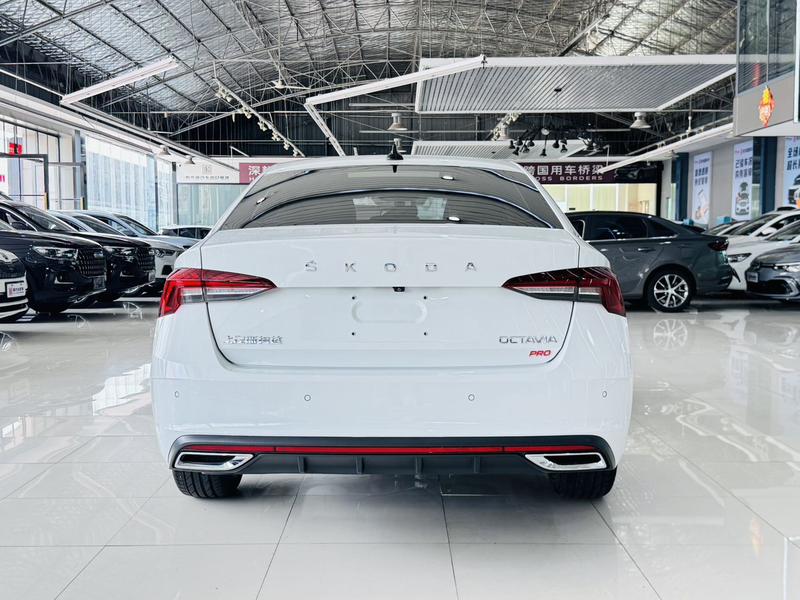 Skoda Octavia Pro, 2023 — фото 5 из 12