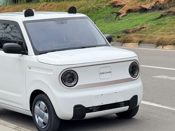 Geely Galaxy Panda Mini, 2023 — фото 6 из 9