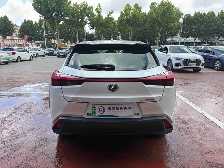 Lexus UX Hybrid, 2022 — фото 5 из 9