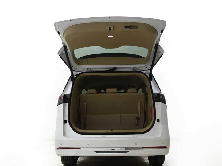 Buick GL8 Hybrid, 2025 — фото 5 из 9