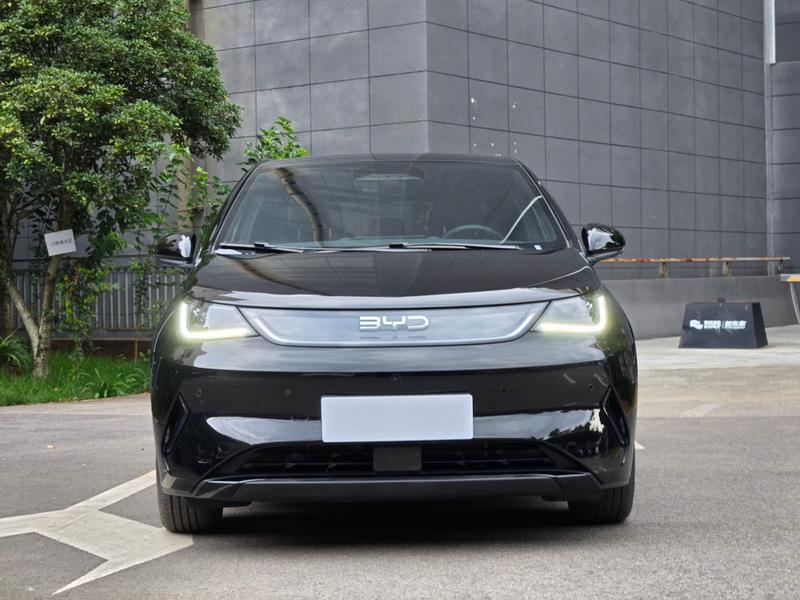 BYD Dolphin, 2025 — фото 2 из 12