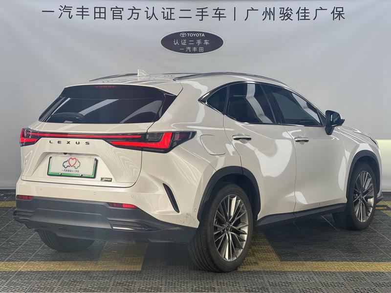 Lexus NX Hybrid, 2021 — фото 6 из 12