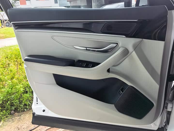 BYD Song Plus Hybrid/EV, 2022 — фото 7 из 9