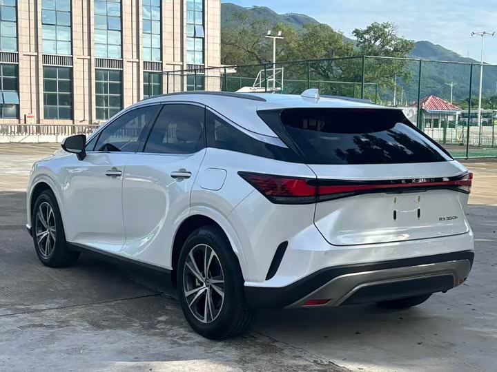 Lexus RX, 2023 — фото 9 из 9