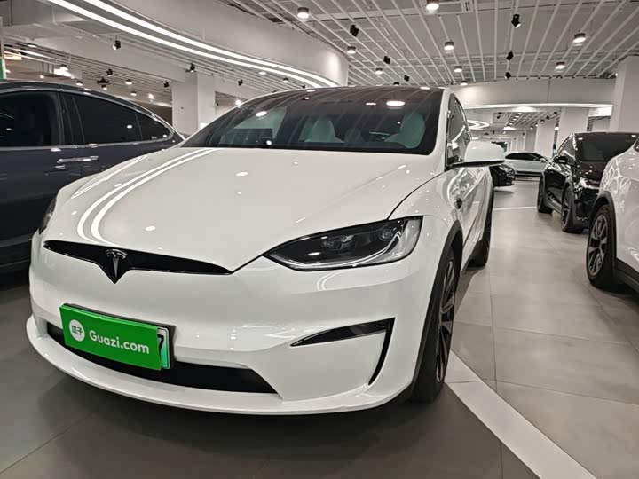 Tesla Model X, 2023 — фото 2 из 9