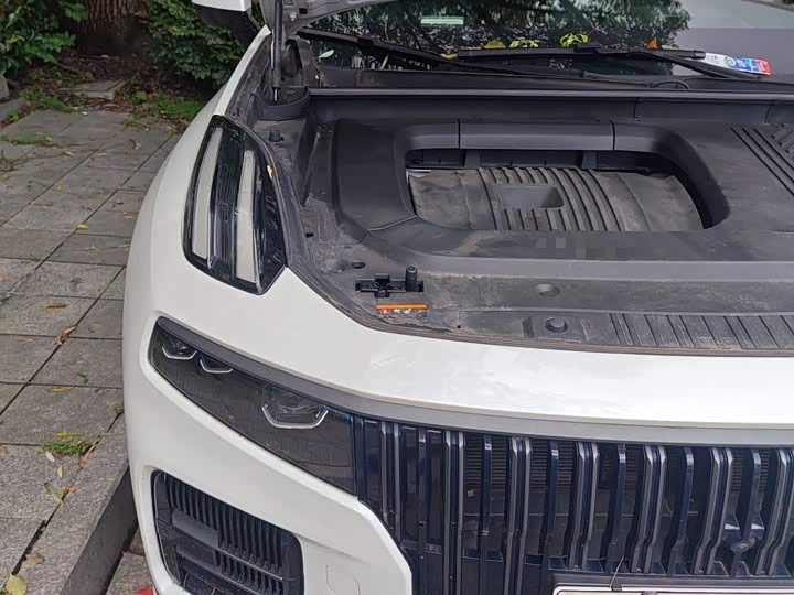 Lynk & Co 09 EM-P Hybrid, 2022 — фото 7 из 9