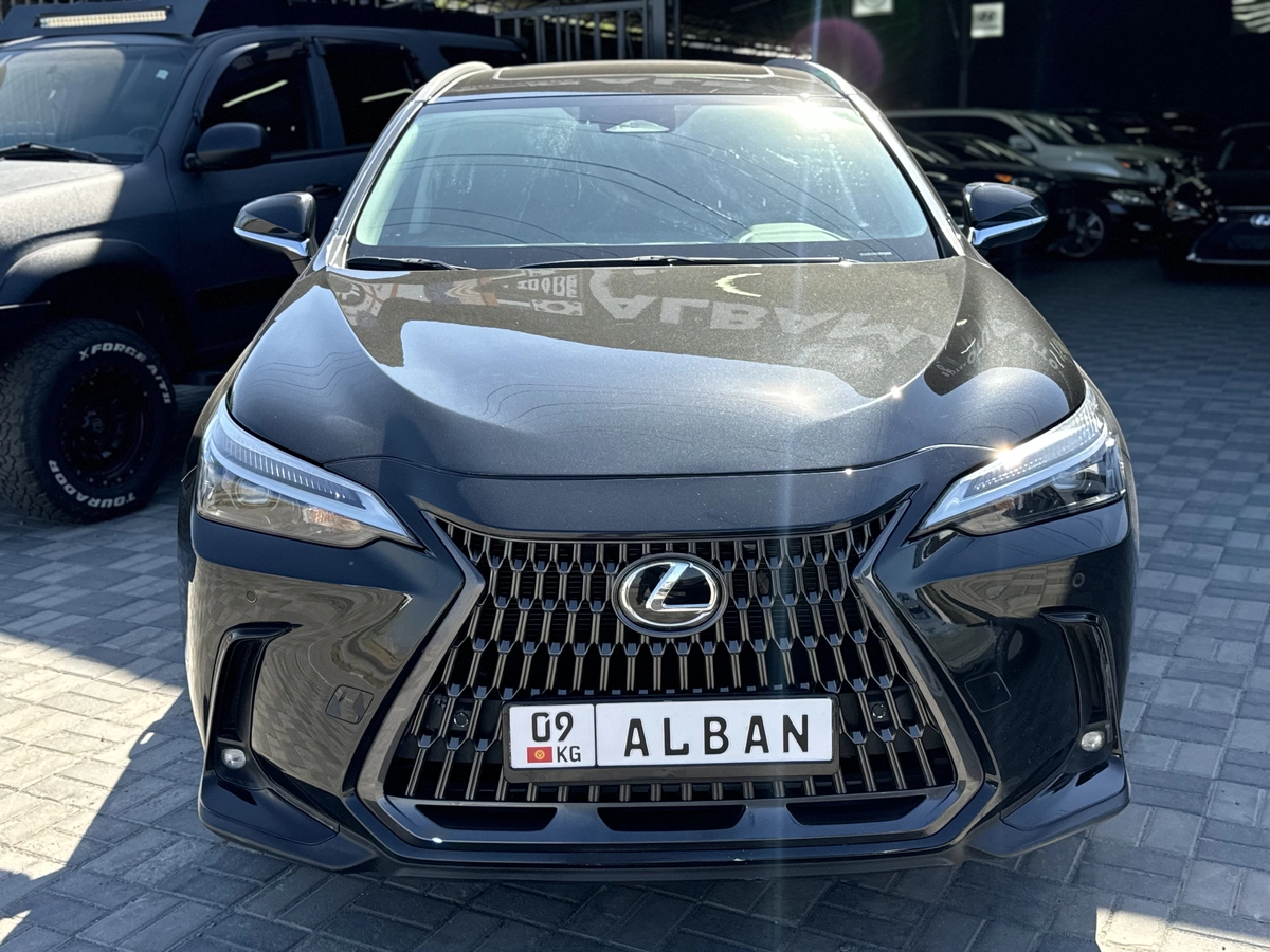 Lexus NX, 2023 — фото 2 из 8