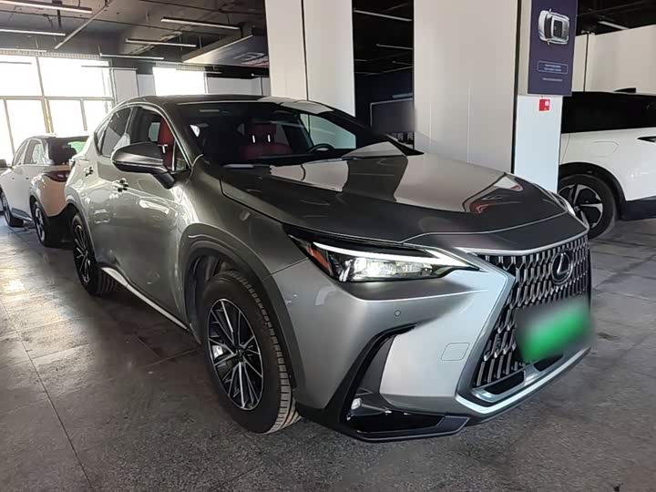 Lexus NX Hybrid, 2024 — фото 4 из 9
