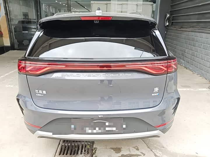 BYD Tang Hybrid/EV, 2024 — фото 6 из 9