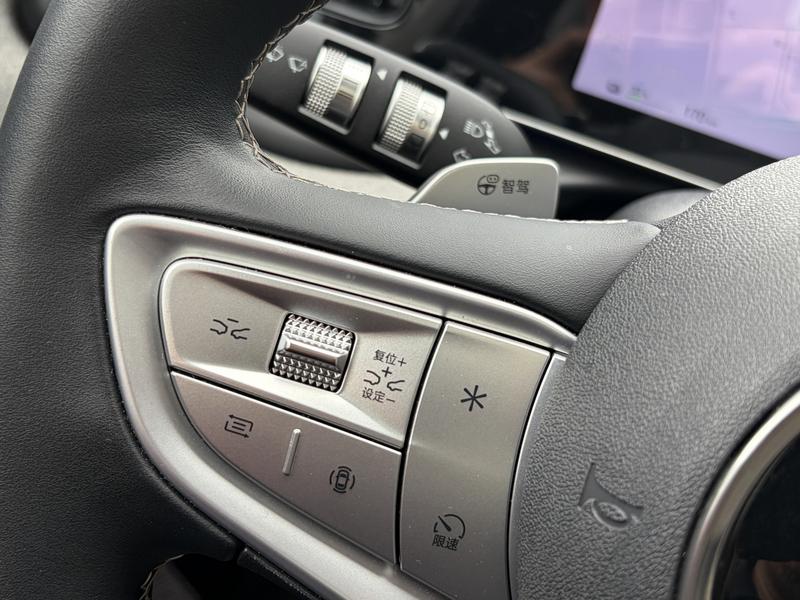 BYD Sea Lion 05 EV, 2025 — фото 11 из 12